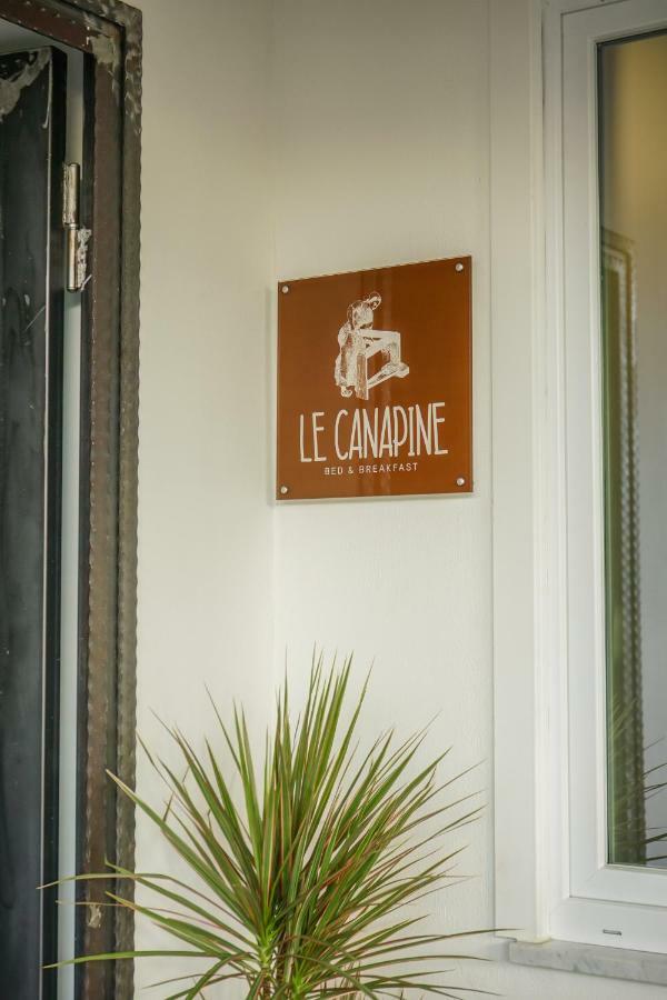 B&B Le Canapine Frattamaggiore Kültér fotó
